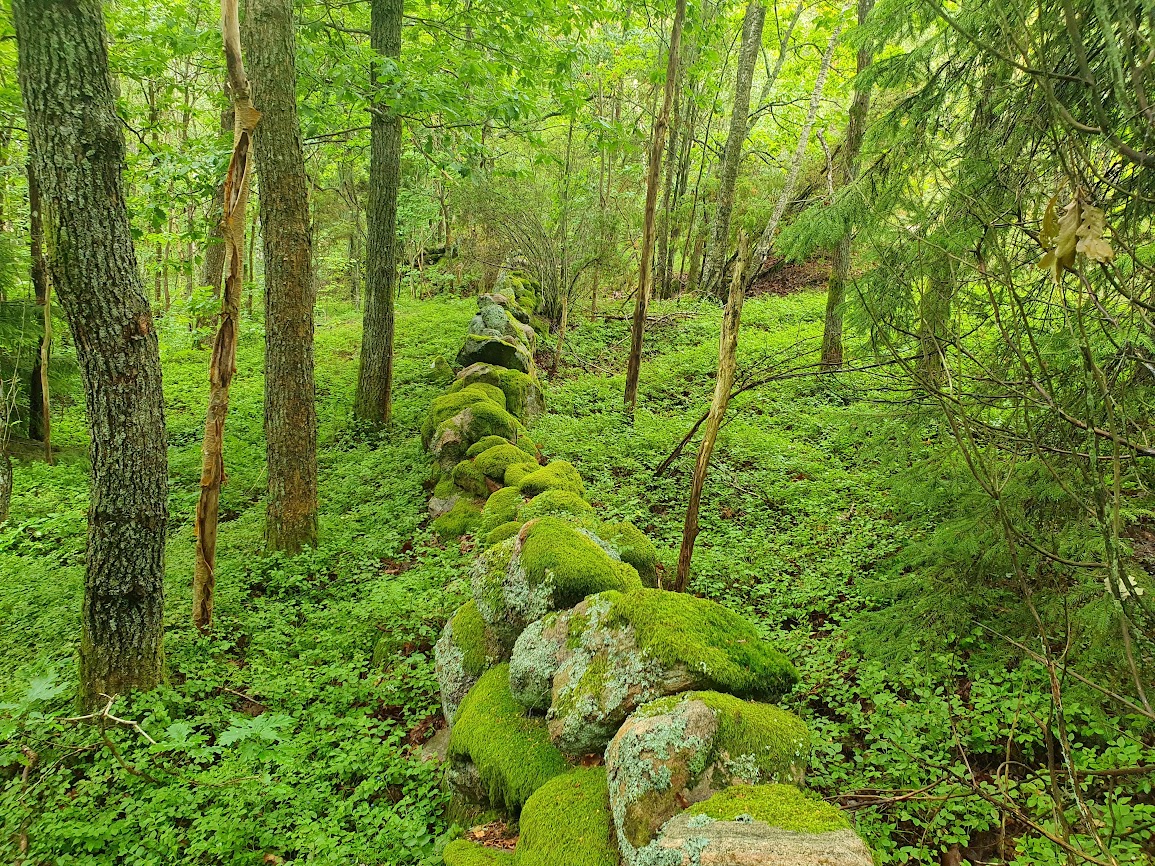 Hisingen – ön i gränslandet